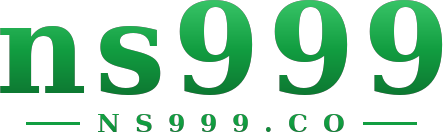 ns999 logo